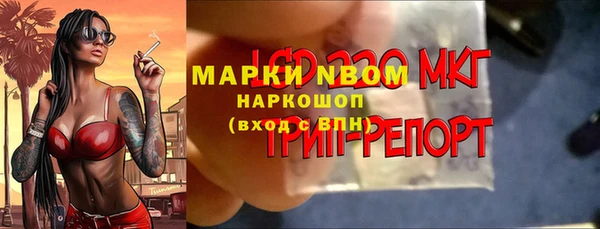 прущие грибы Алзамай
