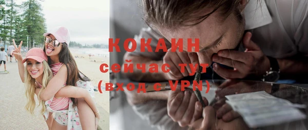 СК Алексин