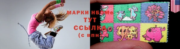 СК Алексин