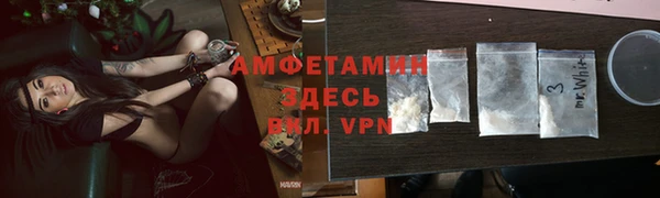 прущие грибы Алзамай