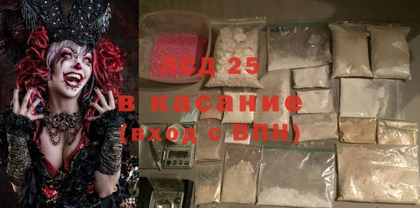 прущие грибы Алзамай