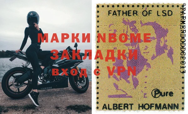 прущие грибы Алзамай