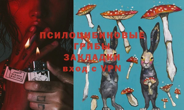крисы Алексеевка