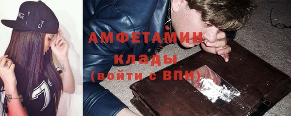 СК Алексин
