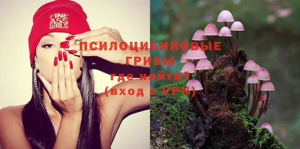 тгк Пересвет