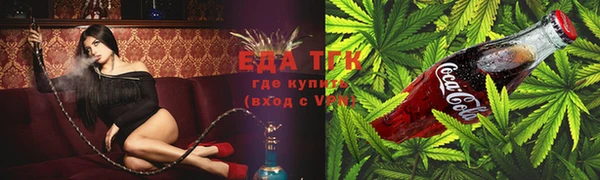 СК Алексин