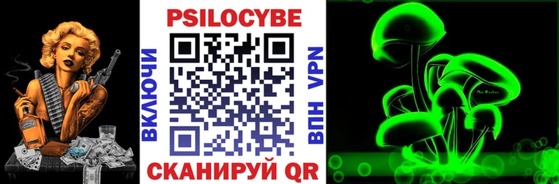 закладки  Куйбышев  Псилоцибиновые грибы прущие грибы 