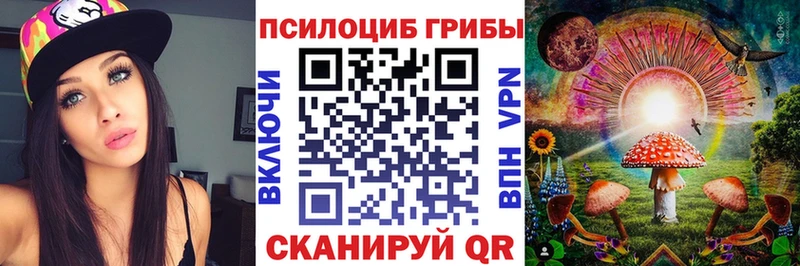 Псилоцибиновые грибы Cubensis Куйбышев